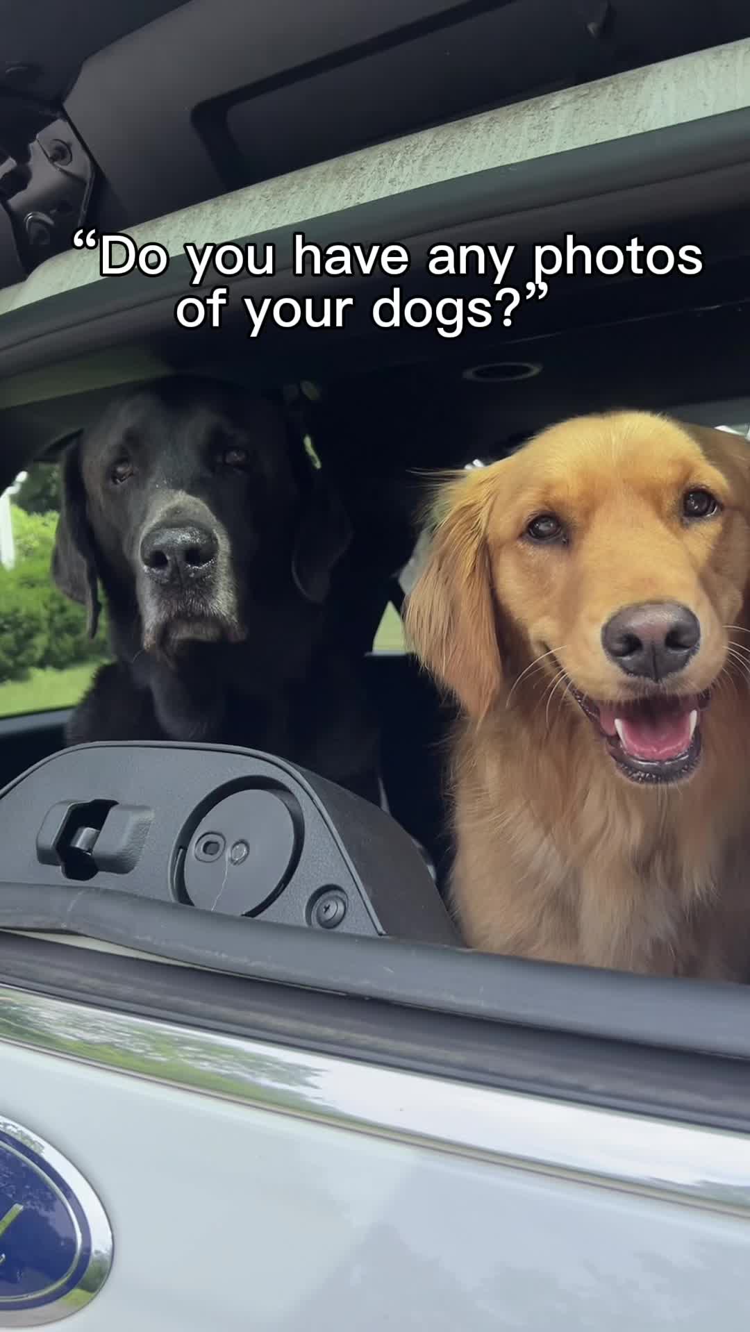 @Adventures of Gunner & Cookie