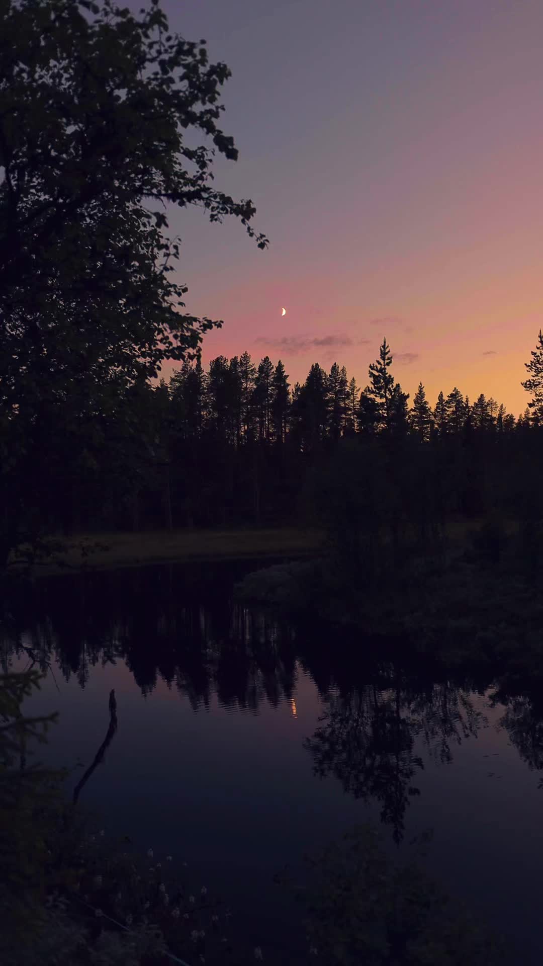 @Lush Visuals