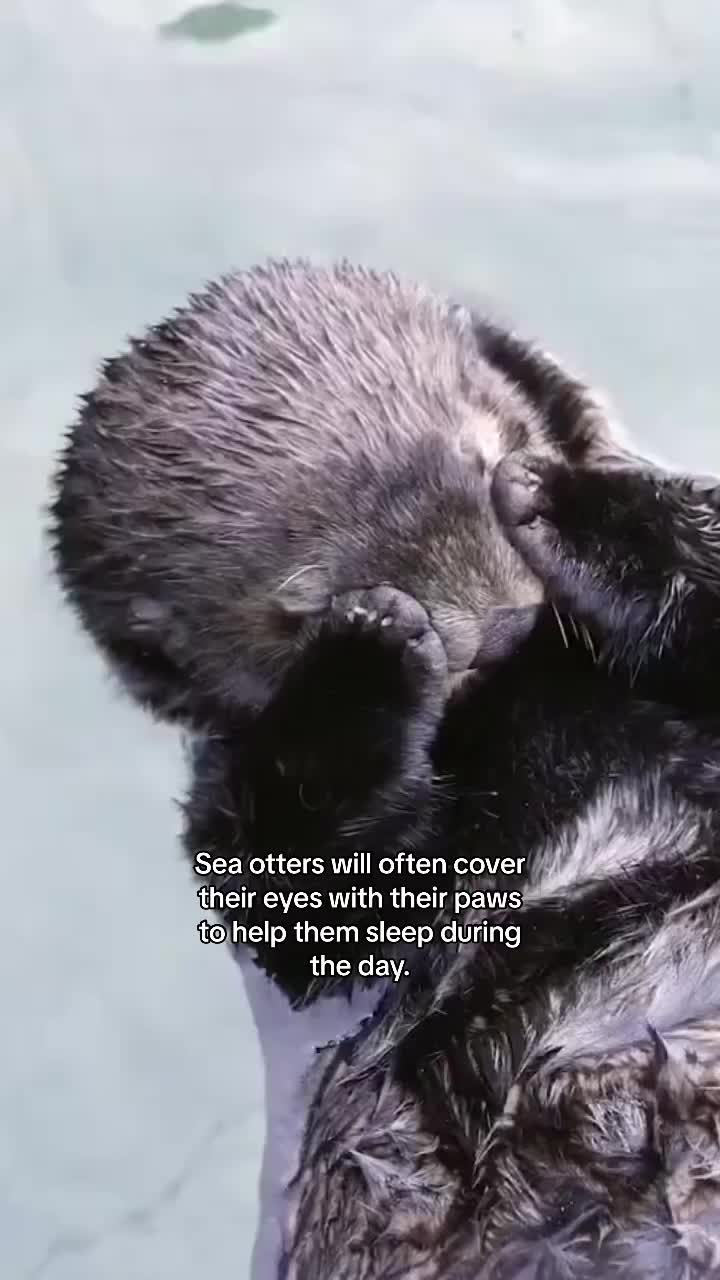 @s