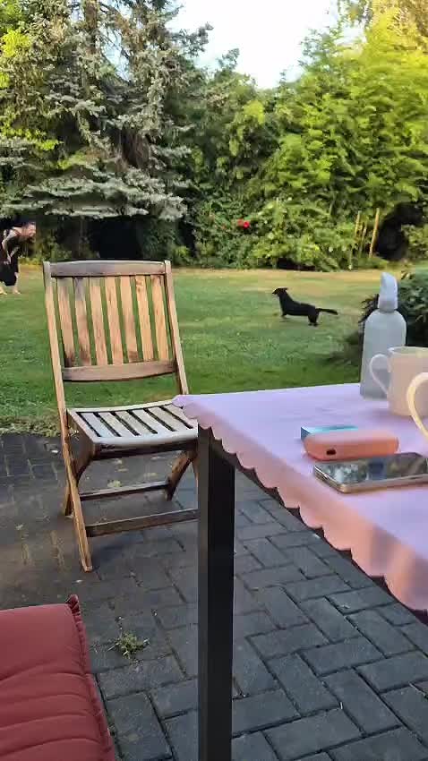 @MrsOPunkt