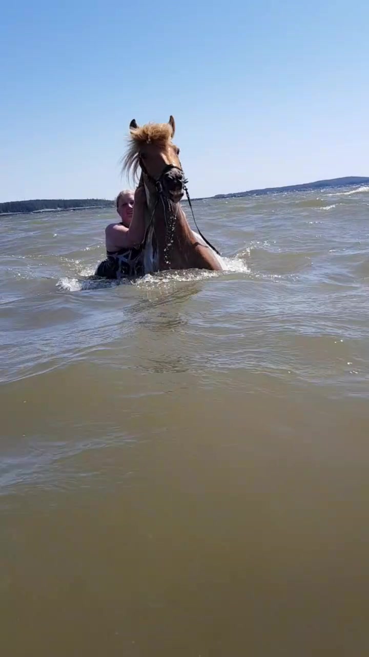 @myreddunpinto