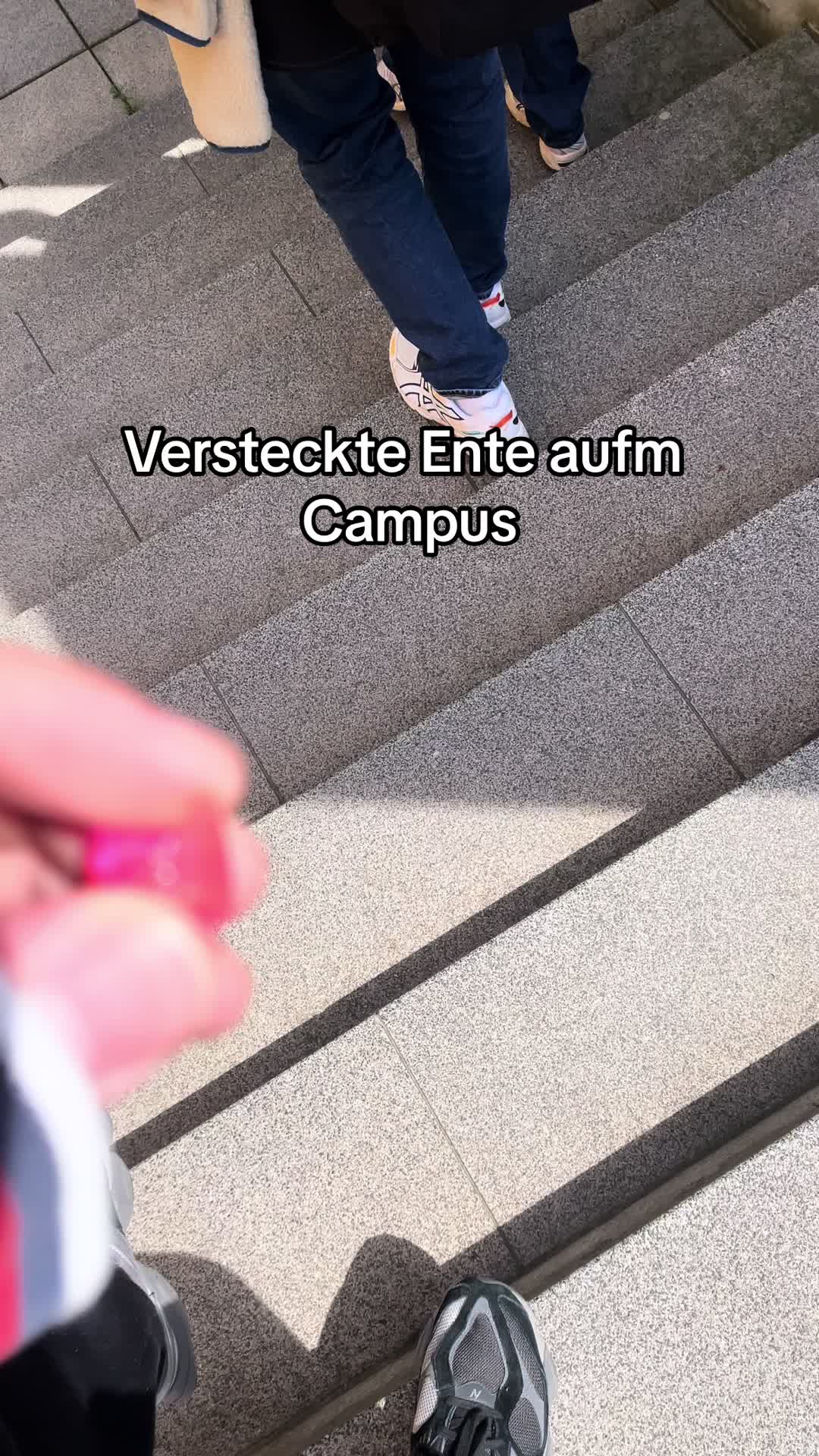 @duckseekdaily
