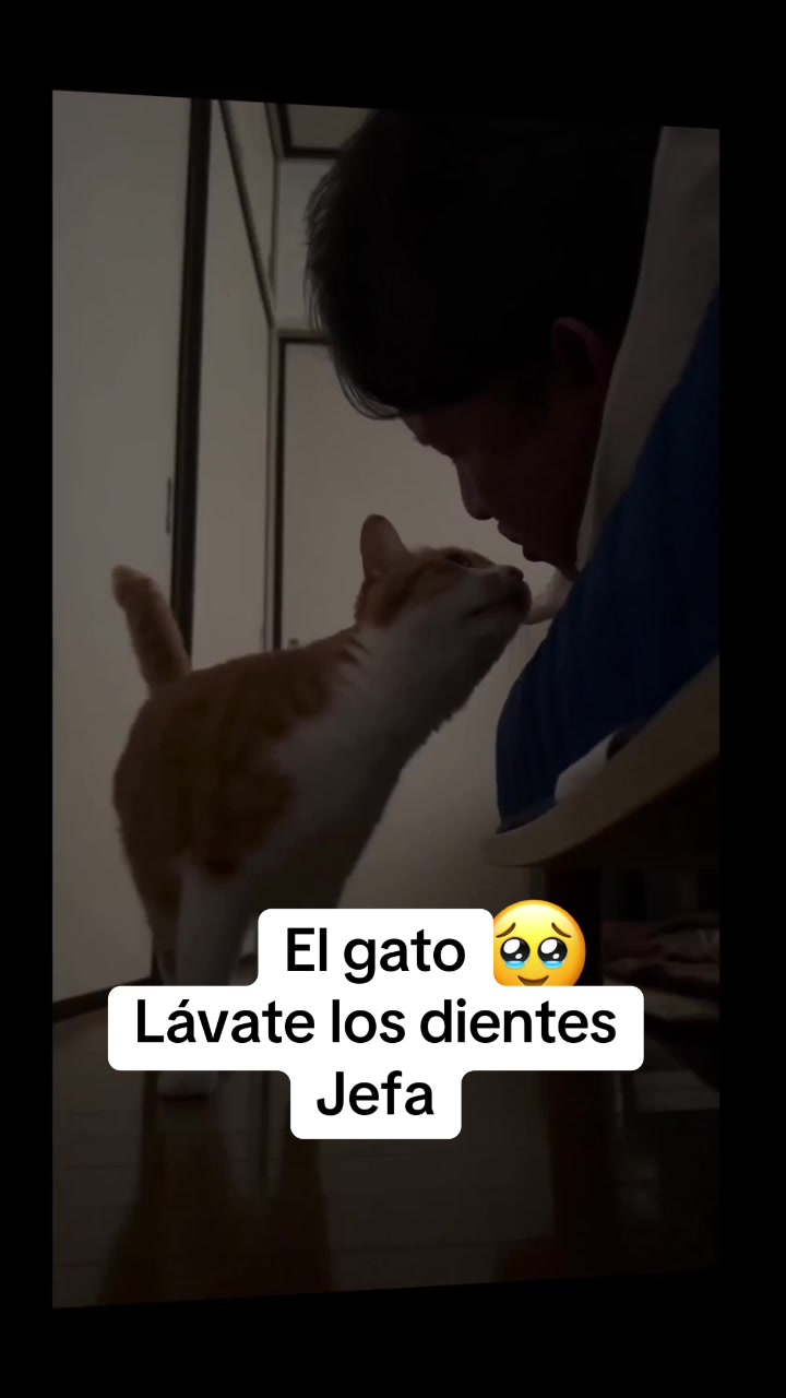 @videoschistosozzzzz