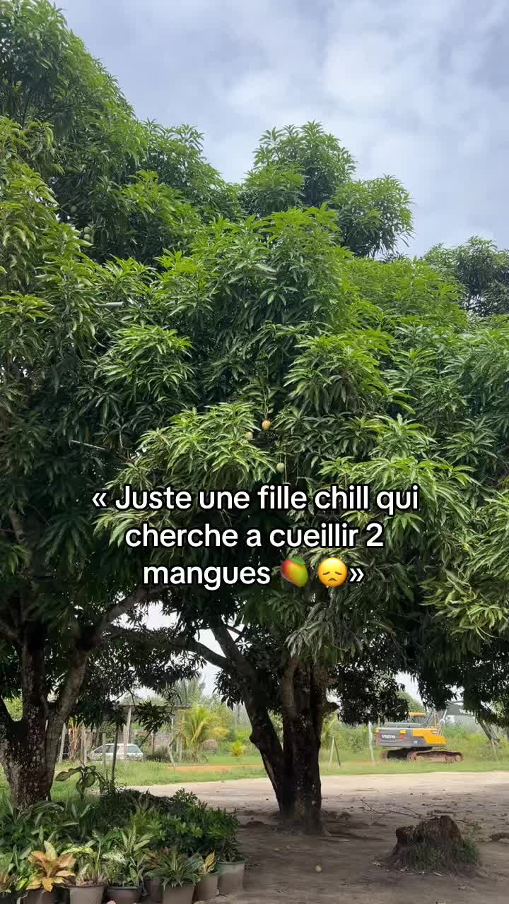 @LL🇬🇫