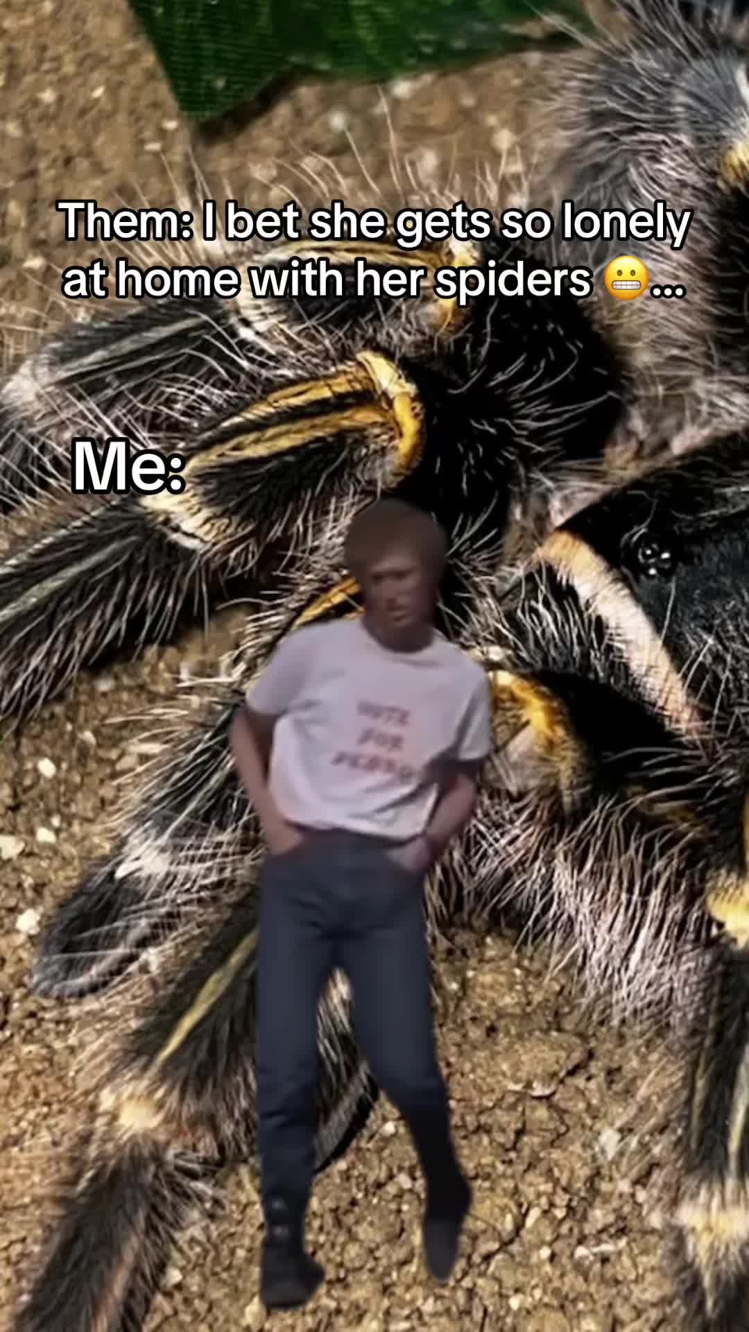@The Tarantula twins 🕷️
