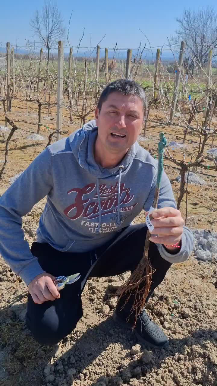 @Минчо Танков