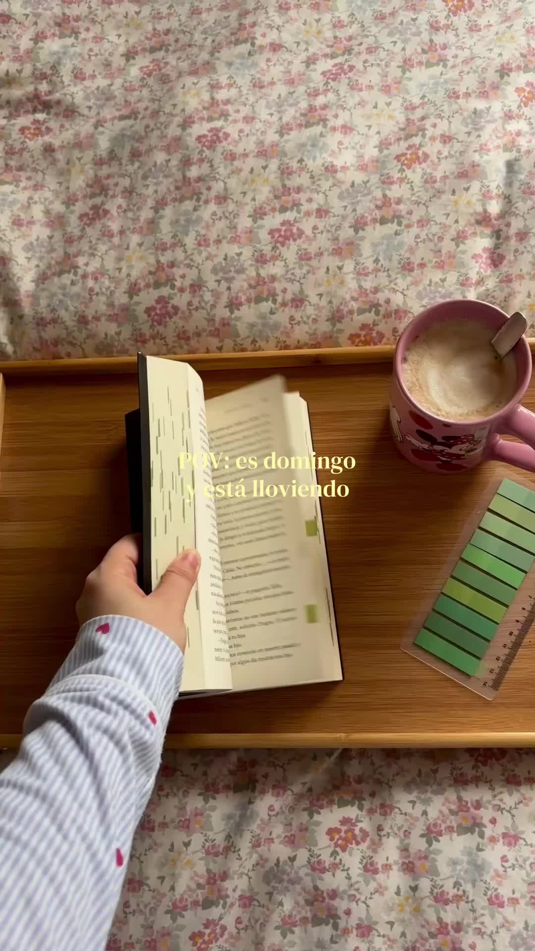 @𝑩𝒆𝒍 📖🧸