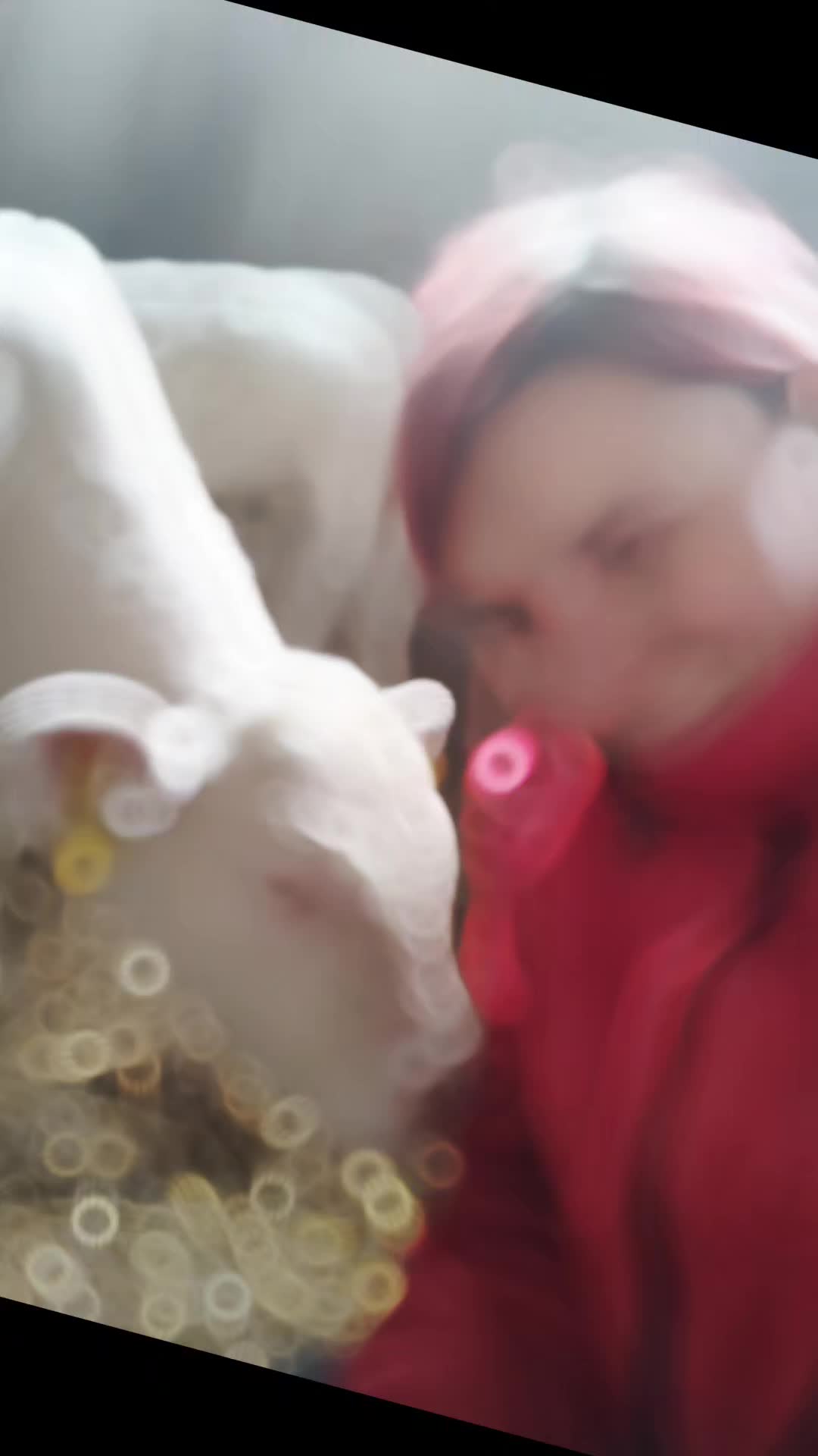 @brinasahobby
