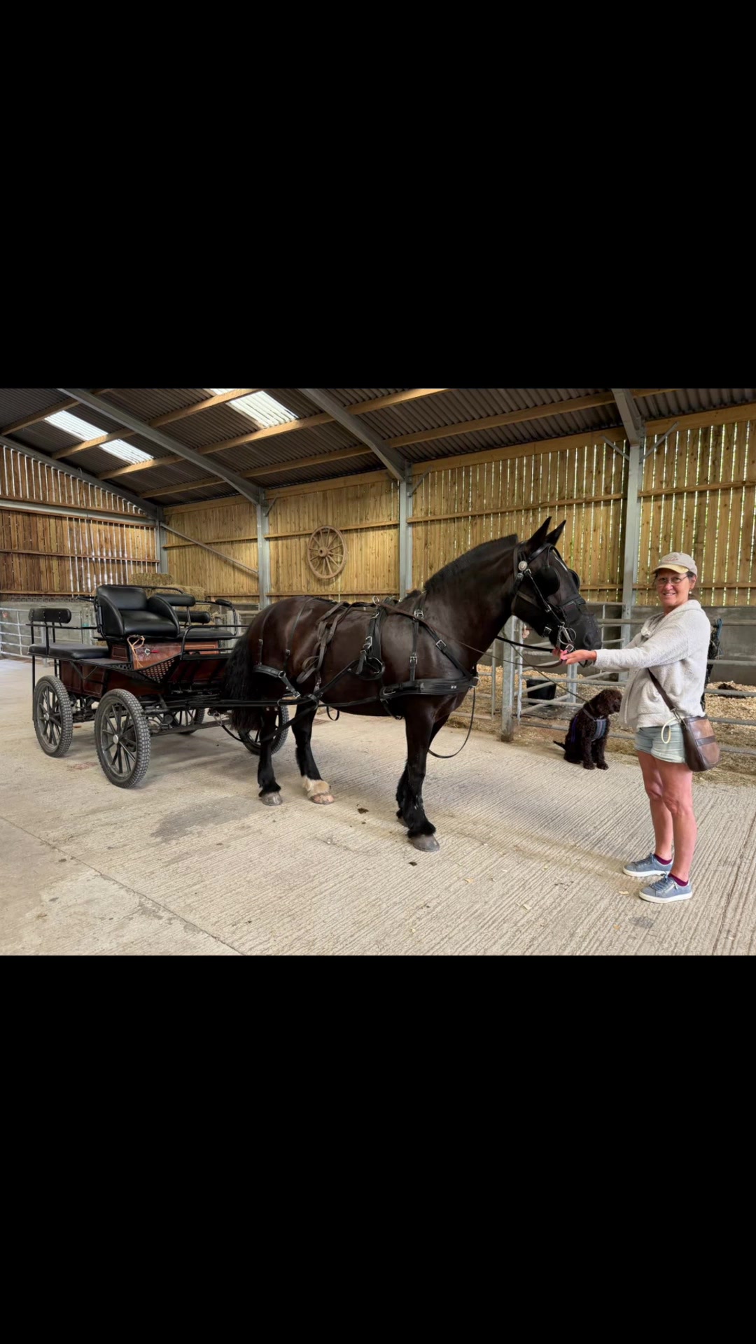 @Dartmoor Carriages