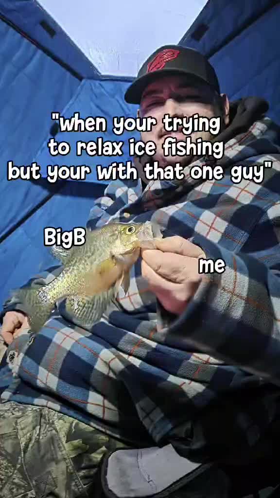 @turtle