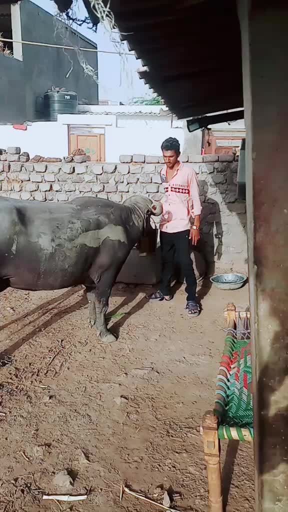 @Ajay Dholakiya