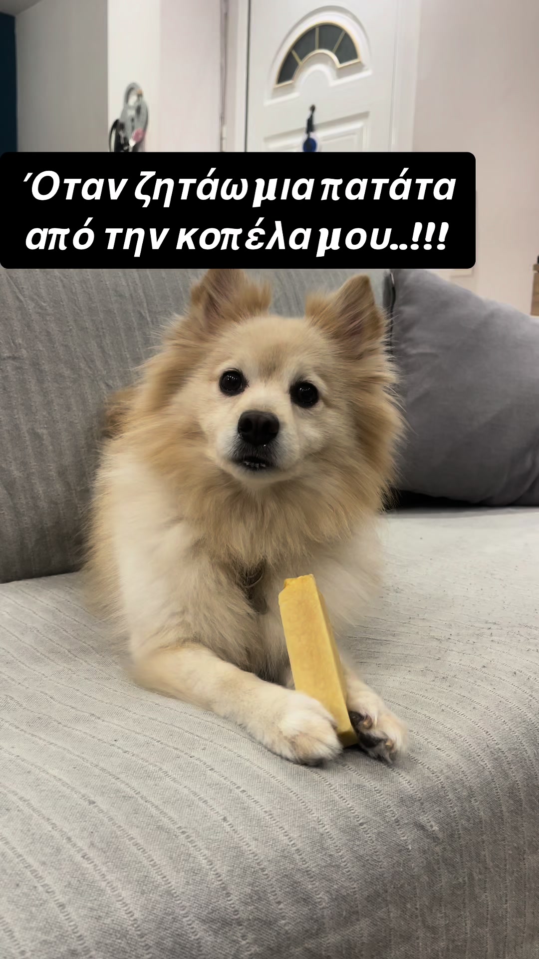 @Fotis Nikou