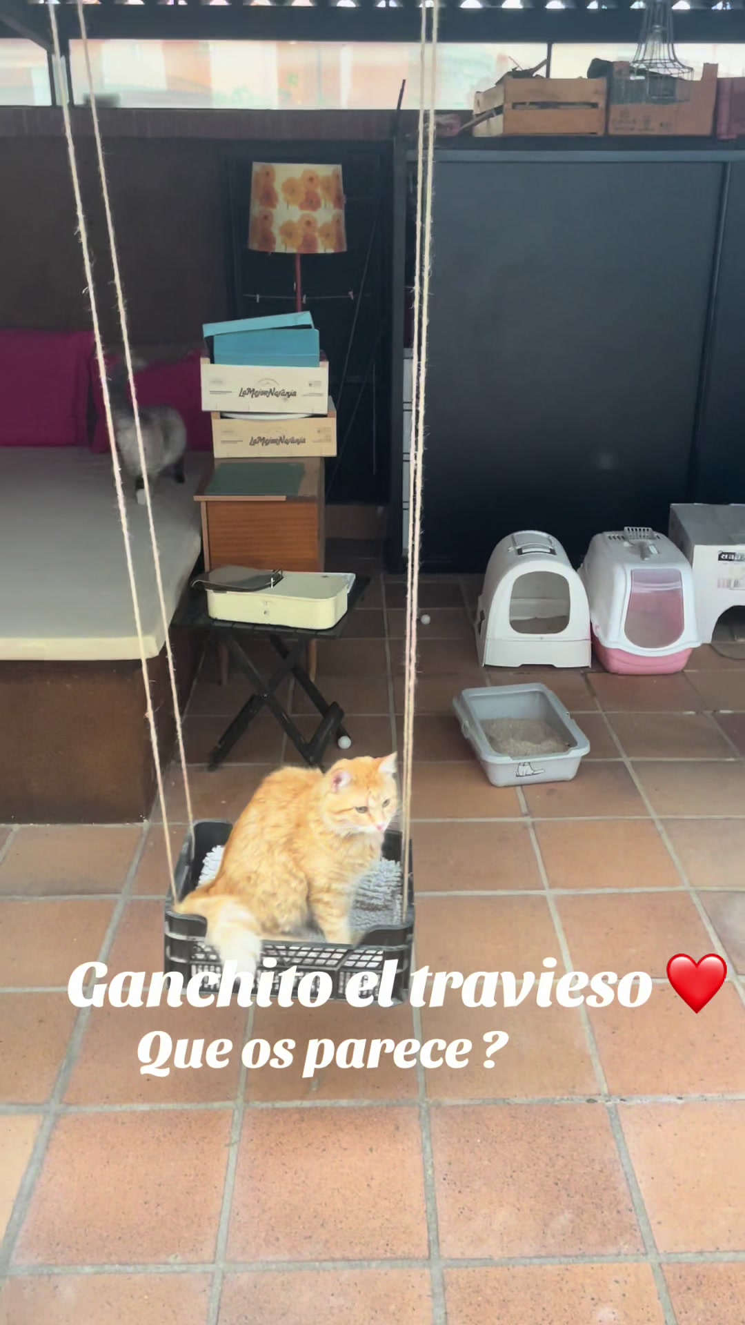 @Ganchito y su tropa