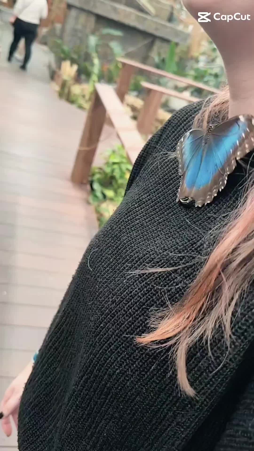 @JJ
