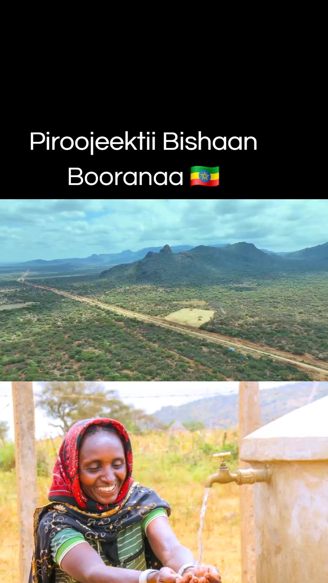 @Shimallis Abdisa Parody