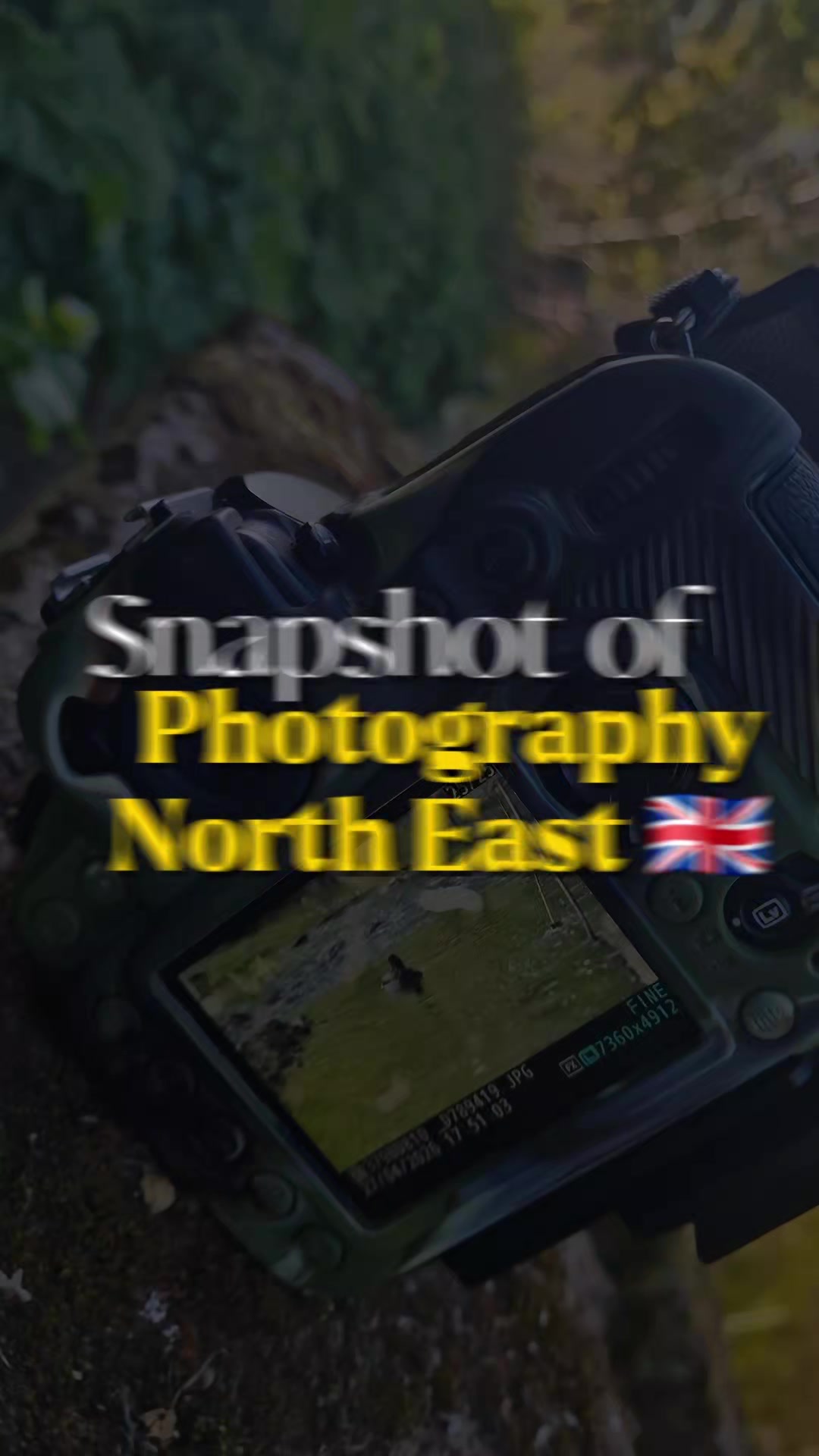@Pro Photographer