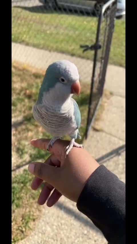 @ZarrrrrZarrrr♥️
