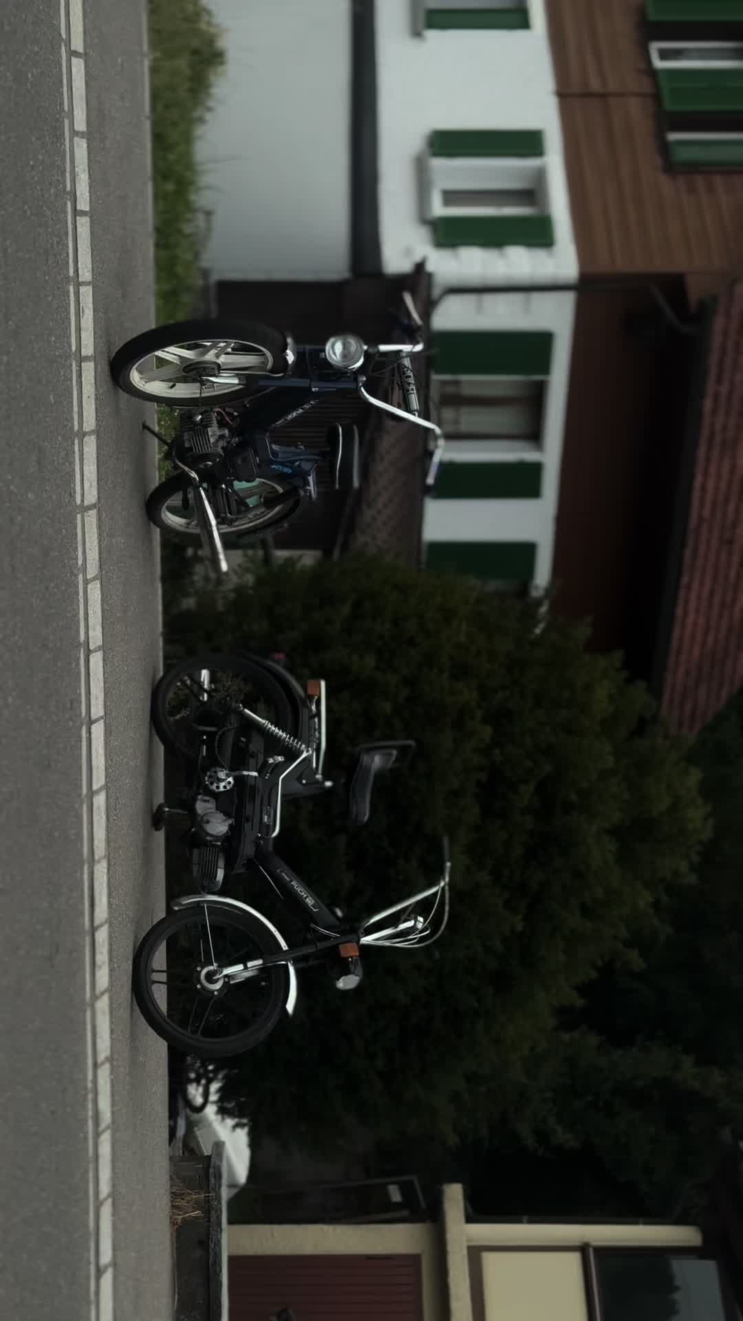@BlueMaxiLevin