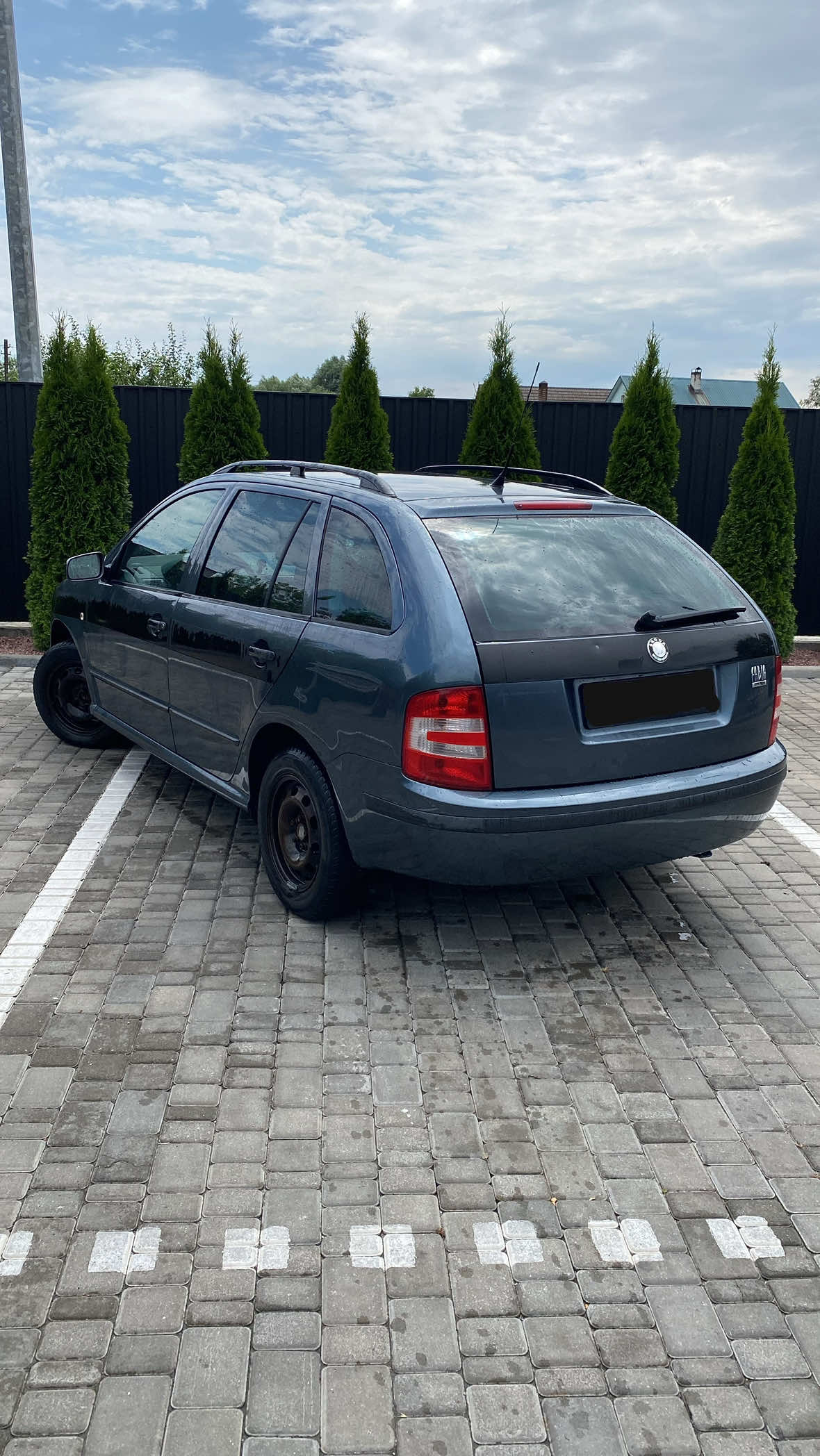 @Car Paint Звягель