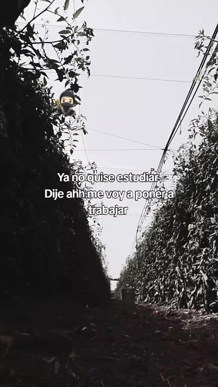@israelvd183tiktok.com/@israelv