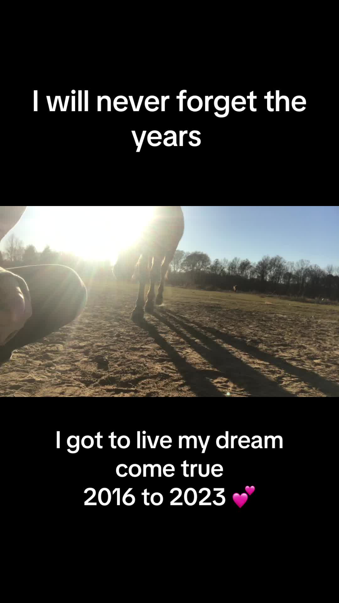 @Wolfsrule22