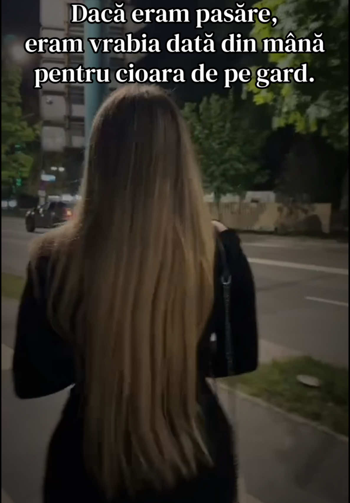 @Amalia