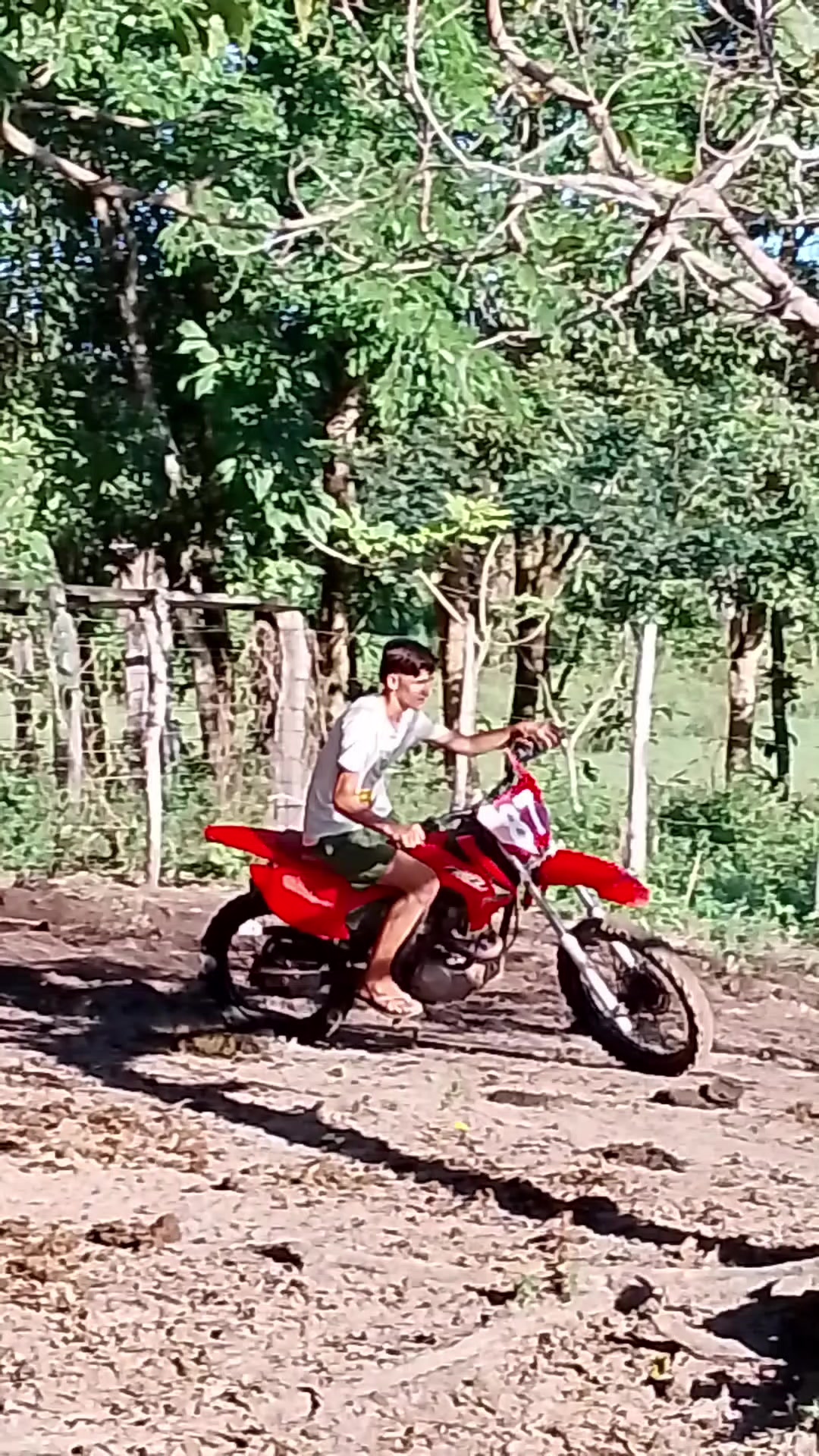 @francinete.netinha