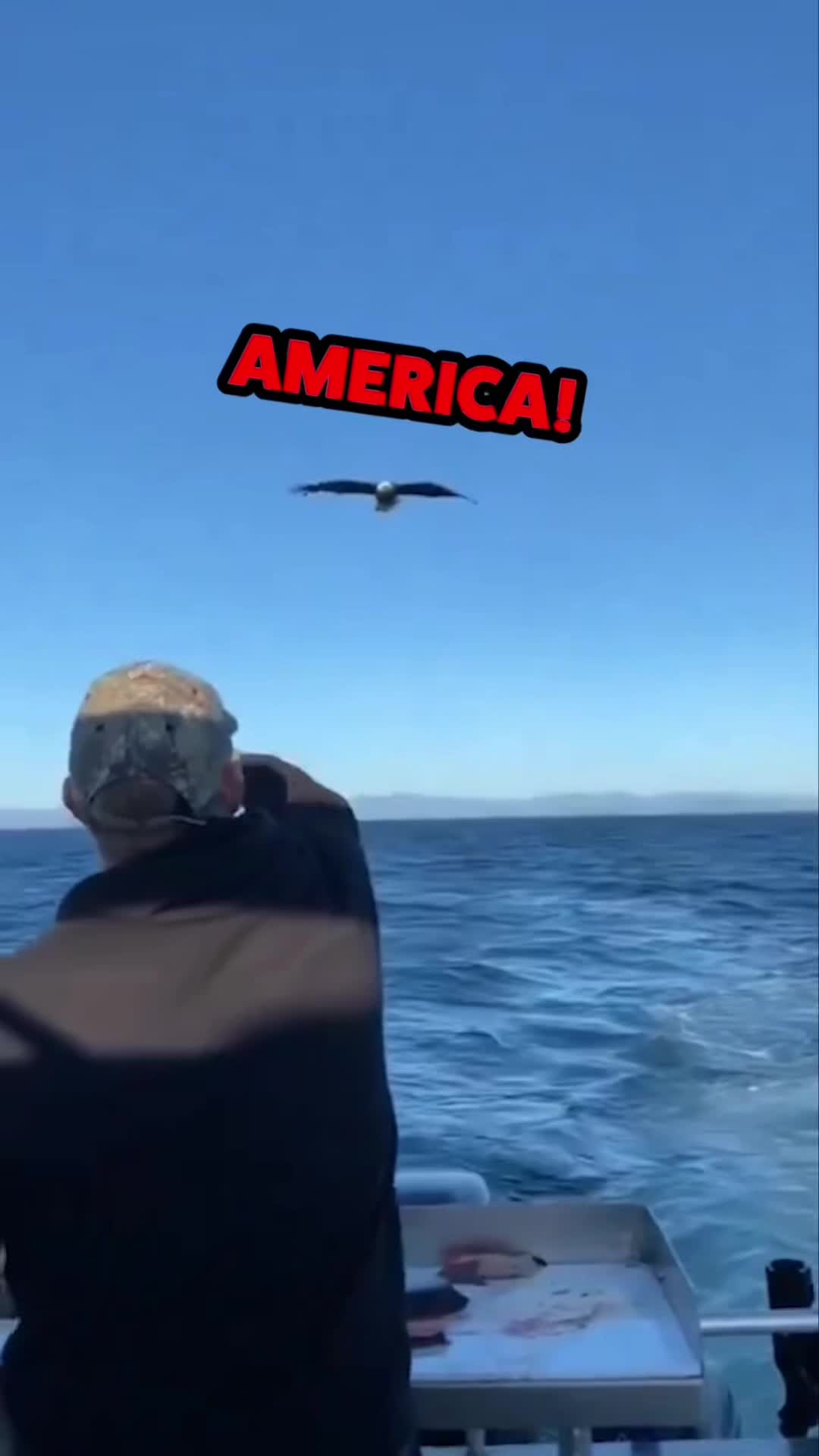 @Rufus Goodboy