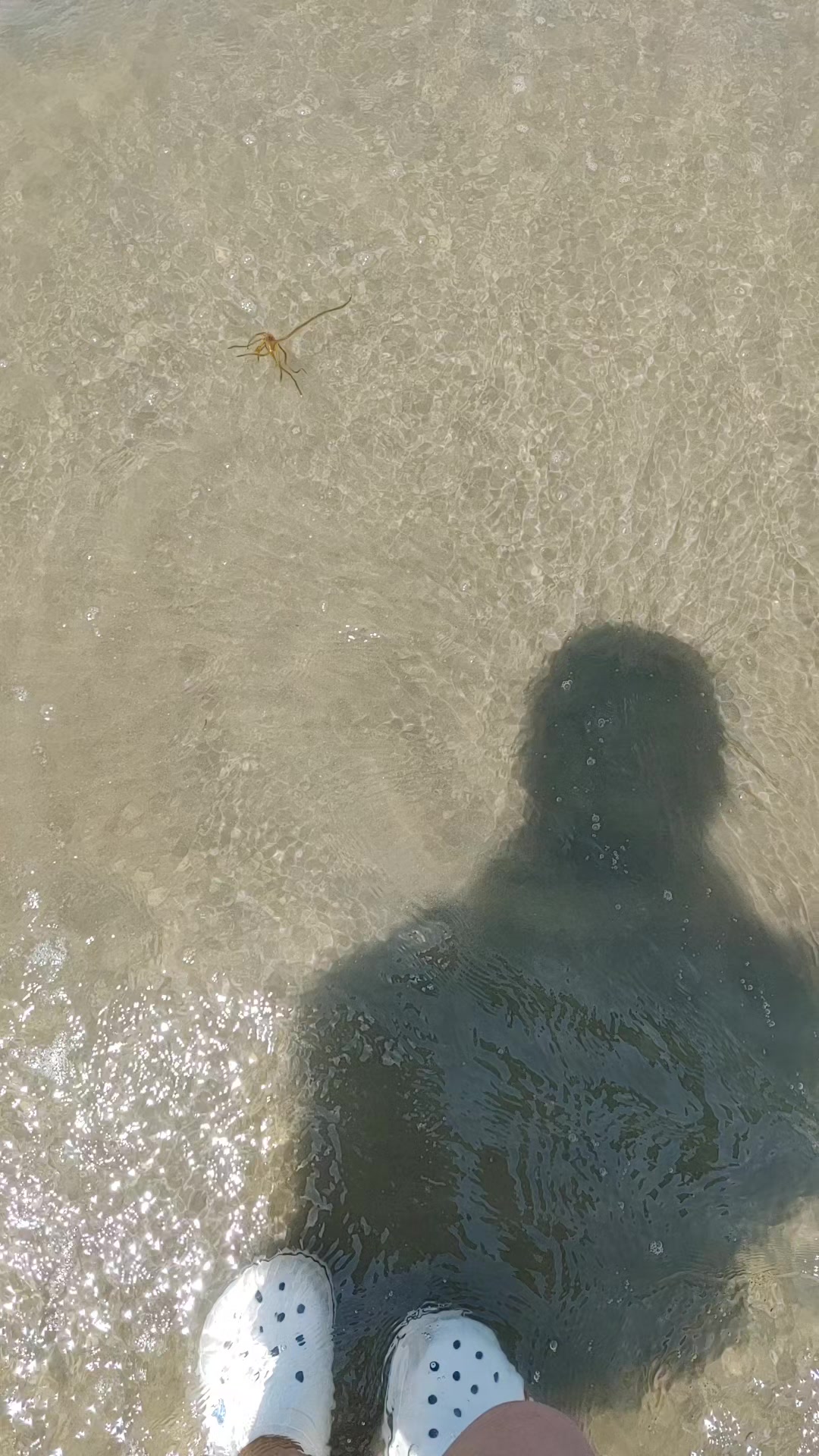 @행복한 뀨