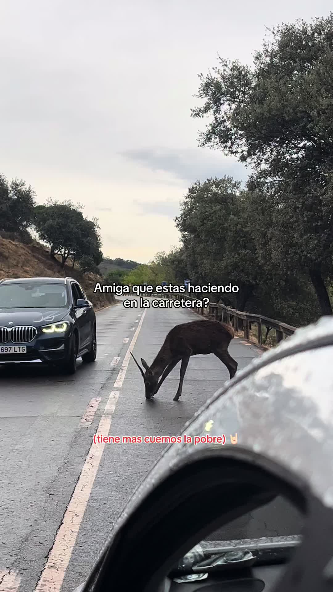 @𝐀𝐥𝐞𝐣𝐚𝐧𝐝𝐫𝐨 
