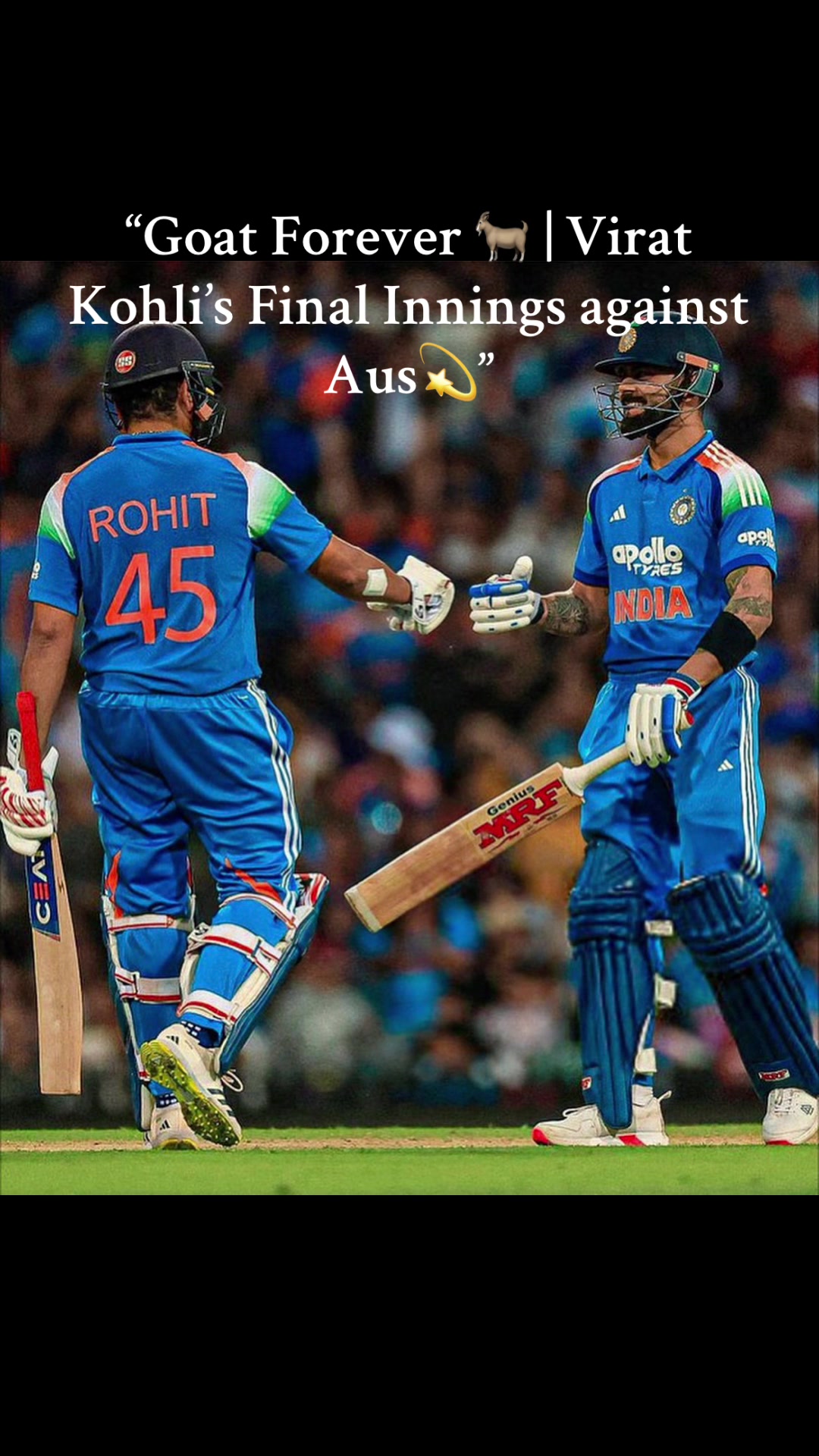 @cricketparadise