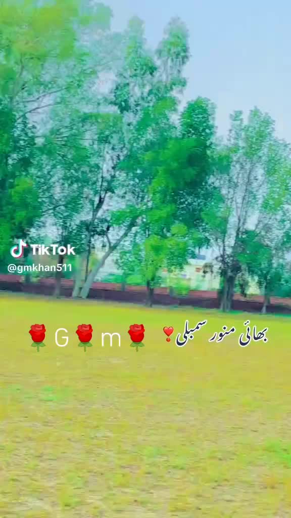 @منور سمبلی ہڈالی