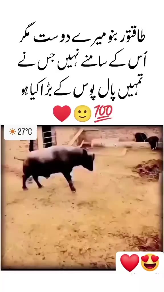@منڈا آرائیاں دا 😎❤️&zwj;🔥