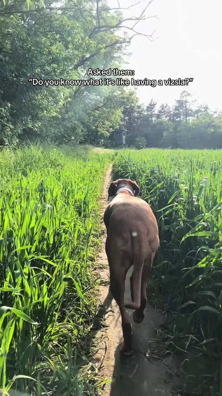 @𝐋𝐮𝐧𝐚