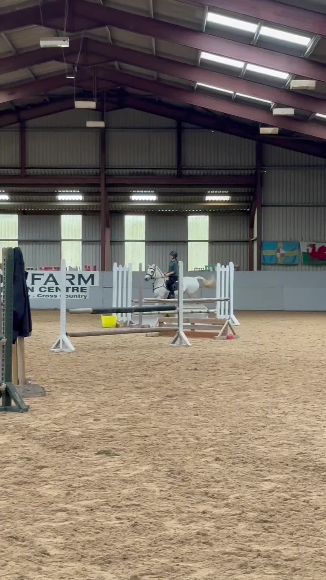 @amelia_showjumping2