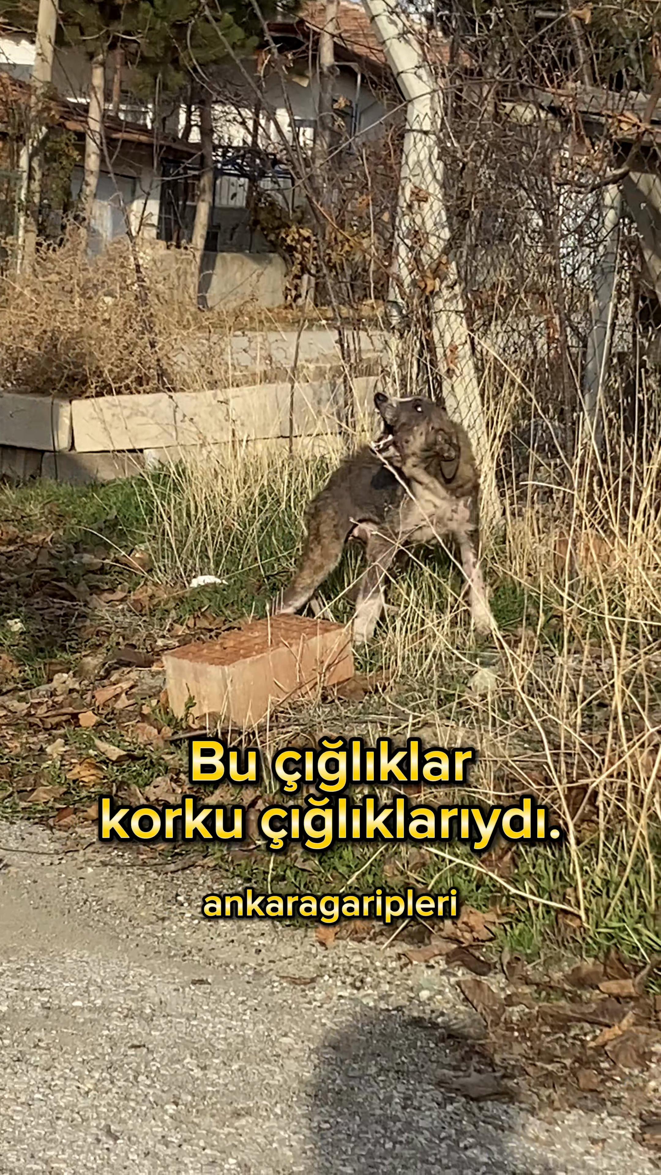 @Asiye