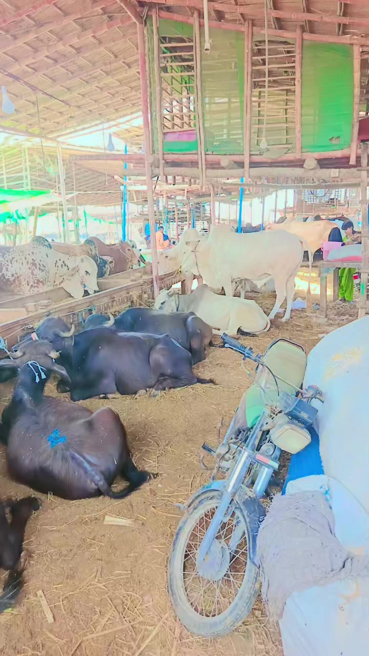 @ABDUL NABI