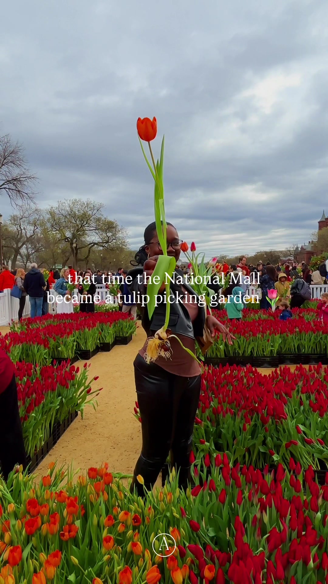 @๐๐๐ • things to do in dc ๐