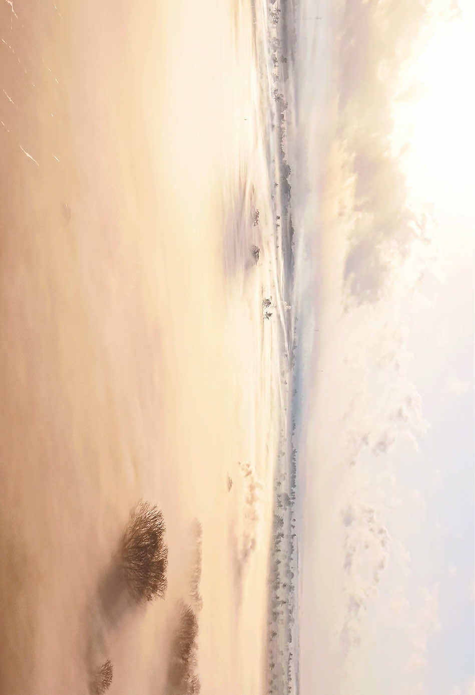 @Lombok Traveler