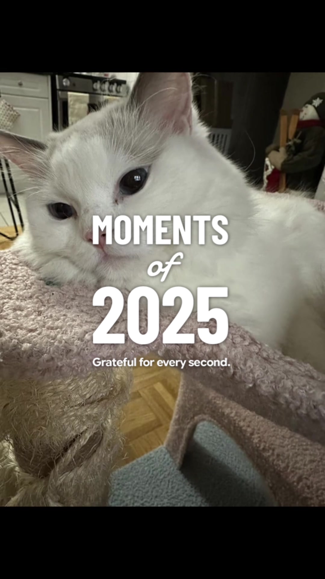 @Princess Yuna 😽