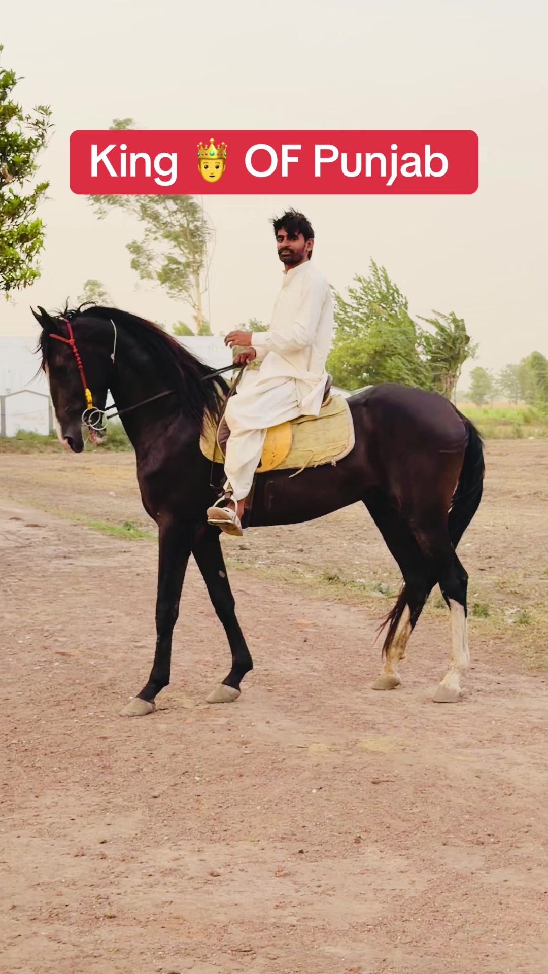 @chalirazagujjar005