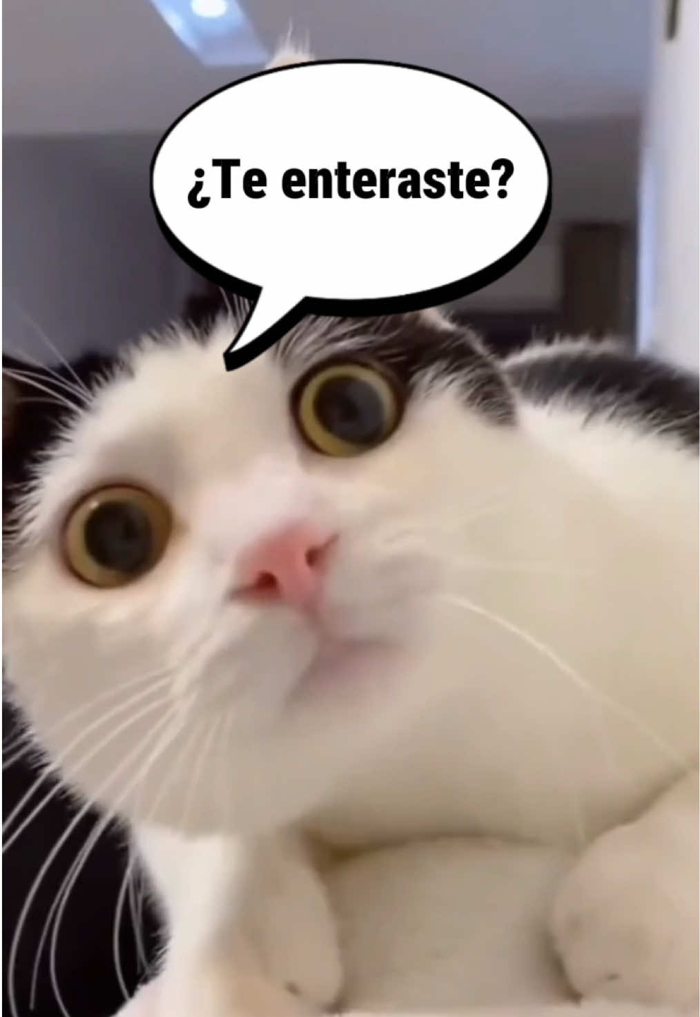 @Karitt Rengifo