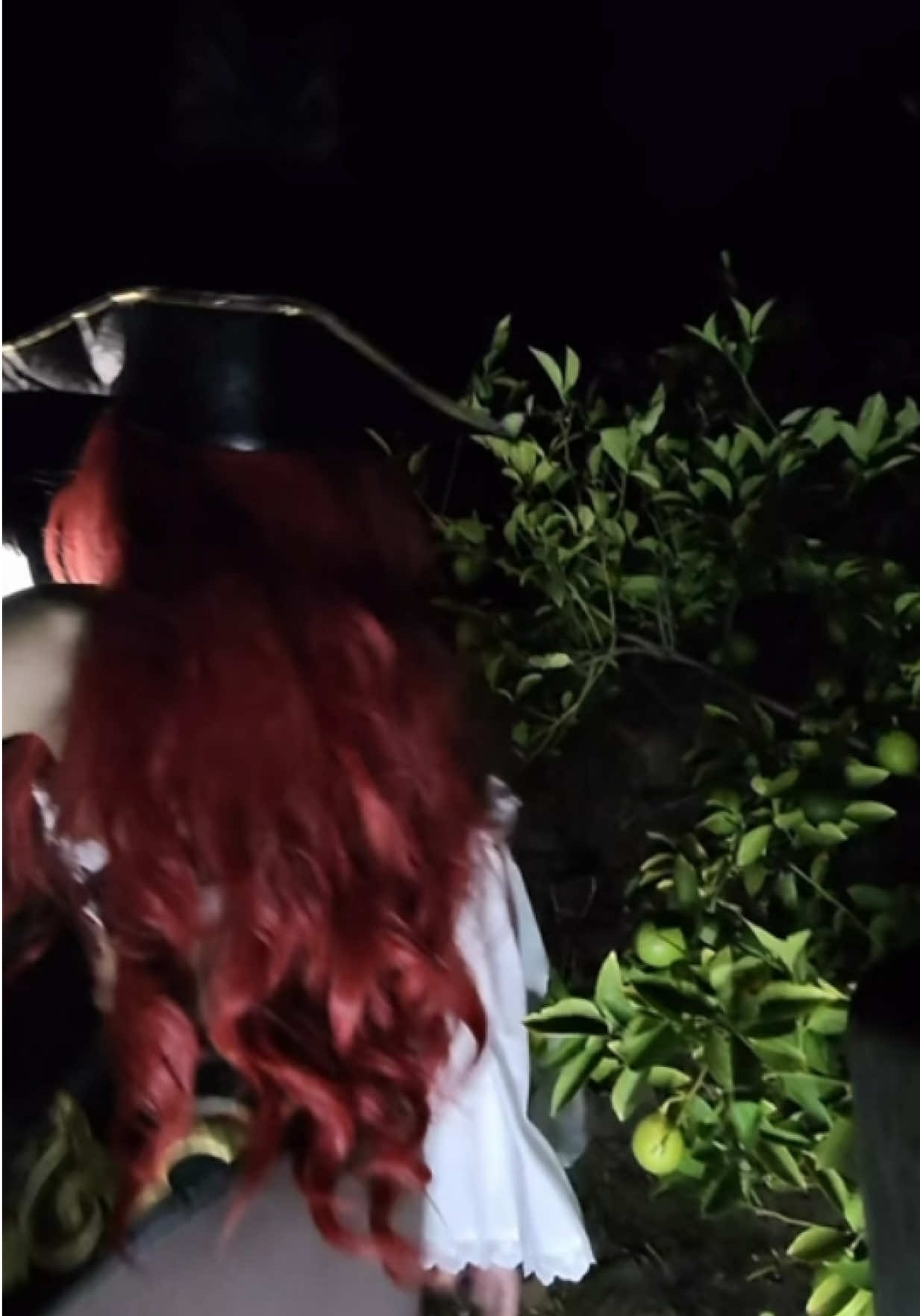 @nikkinami