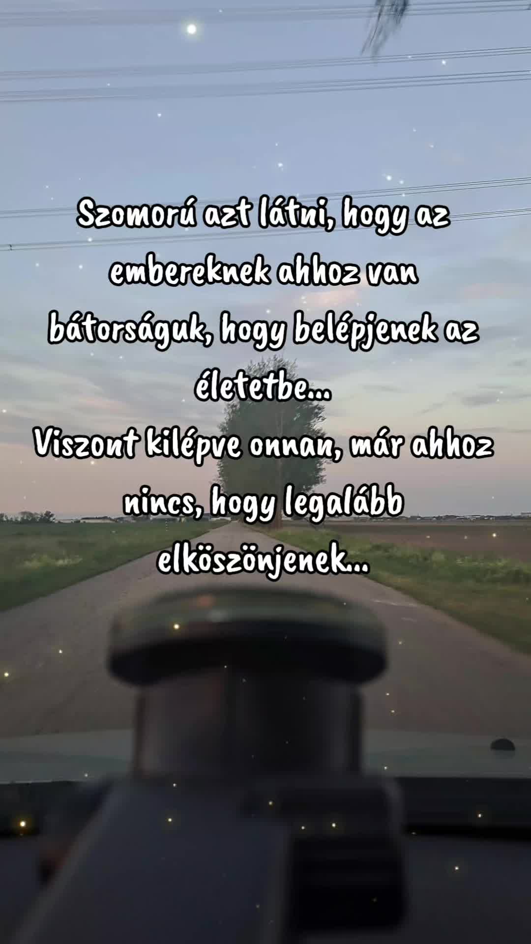 @👑Picisárika👑