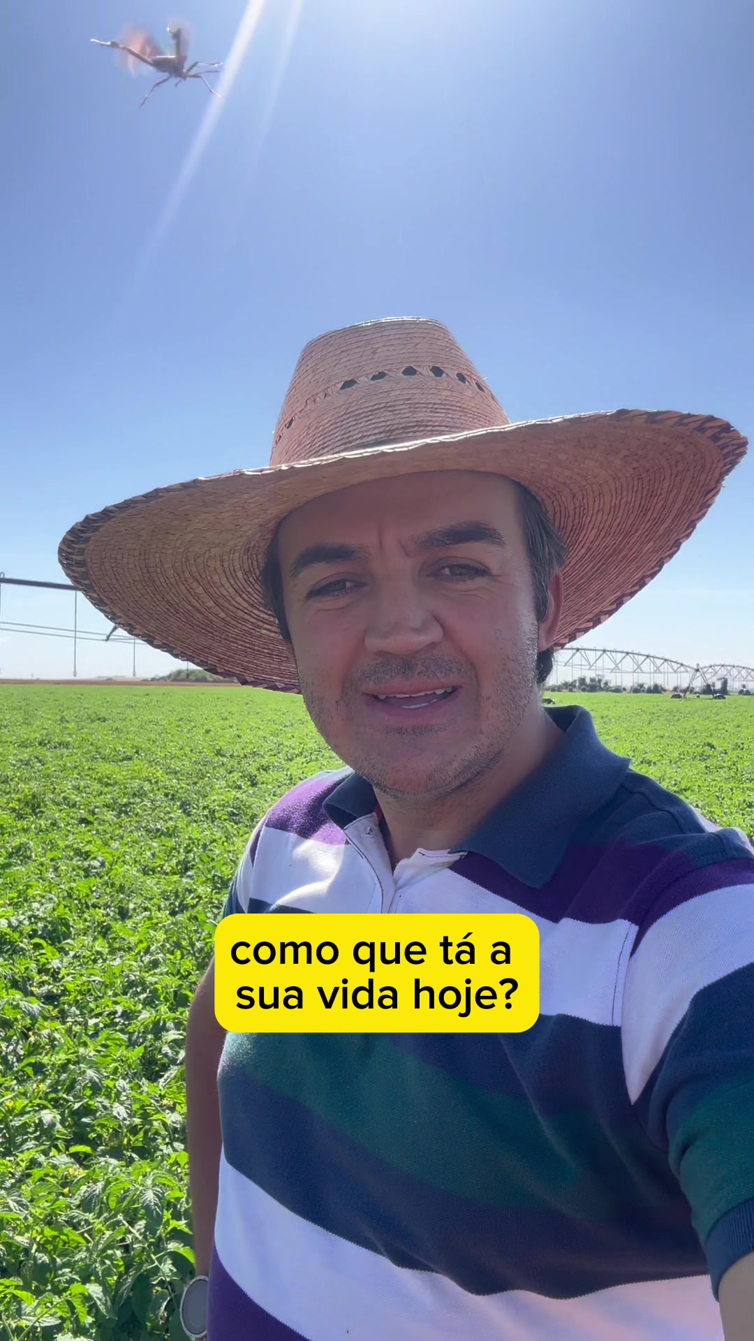 @soulucassiqueira