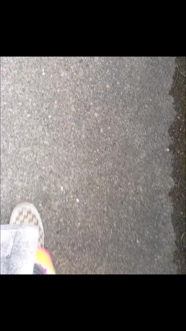 @OWLnOPAL
