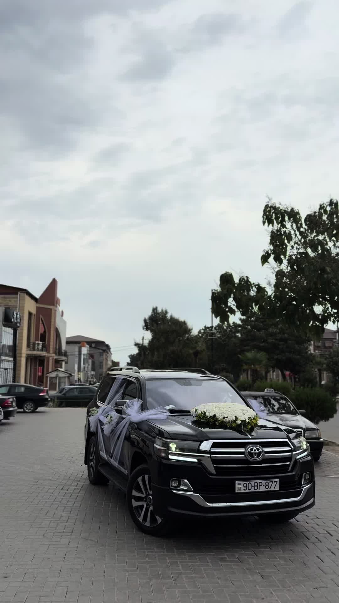 @Ağ Çiçəyim
