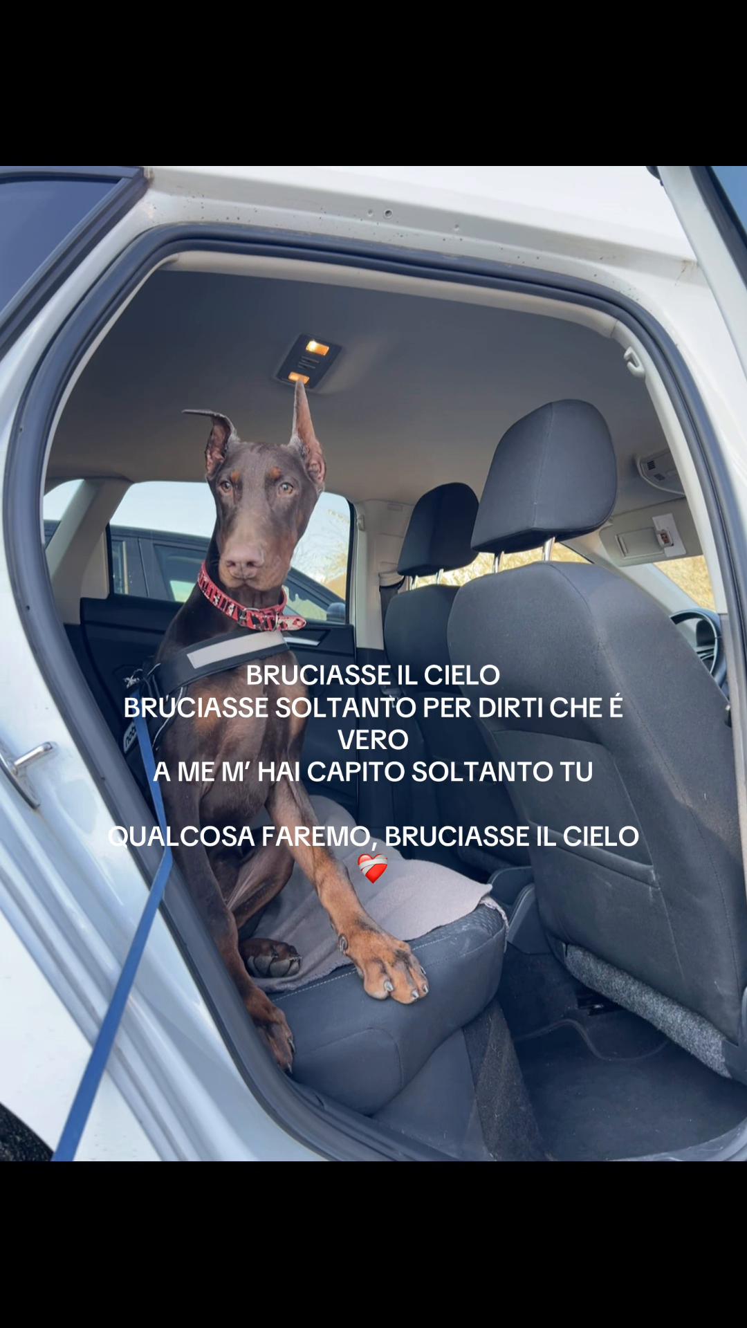 @Tina Bello