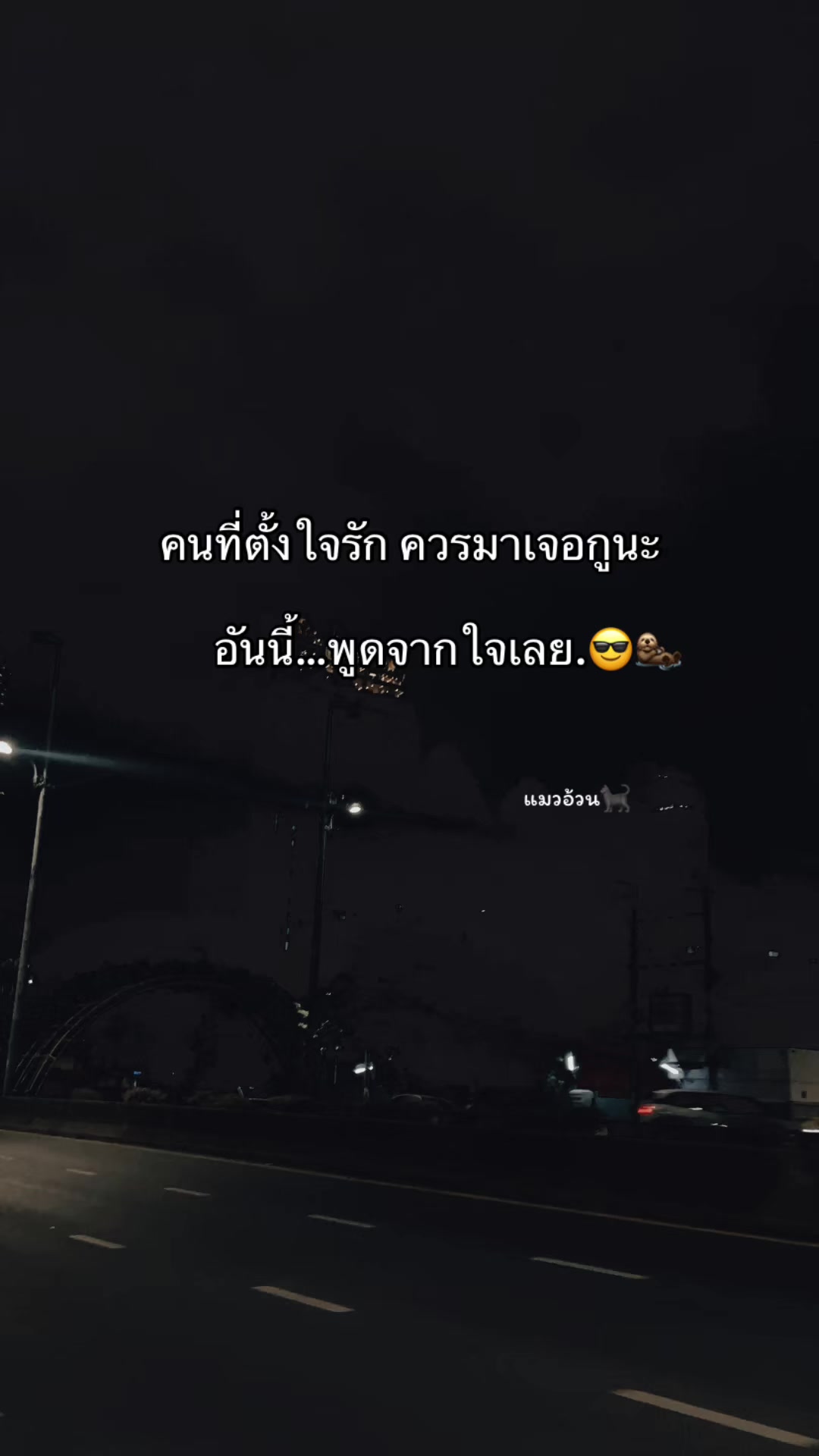 @แมวอ้วน🐈⬛