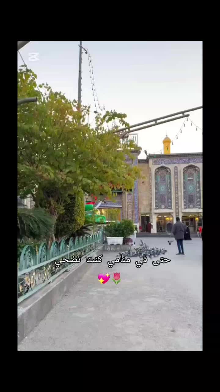 @مـهـﺟـة &sup3;&sup1;&sup3;
